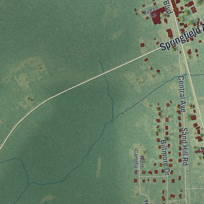 Close-up 2 of the Guyton, Georgia map artwork
