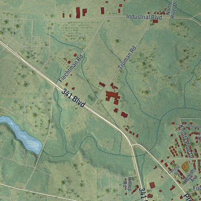 Close-up 2 of the Hawkinsville, Georgia map artwork