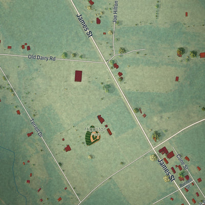 Close-up 1 of the Higgston, Georgia map artwork