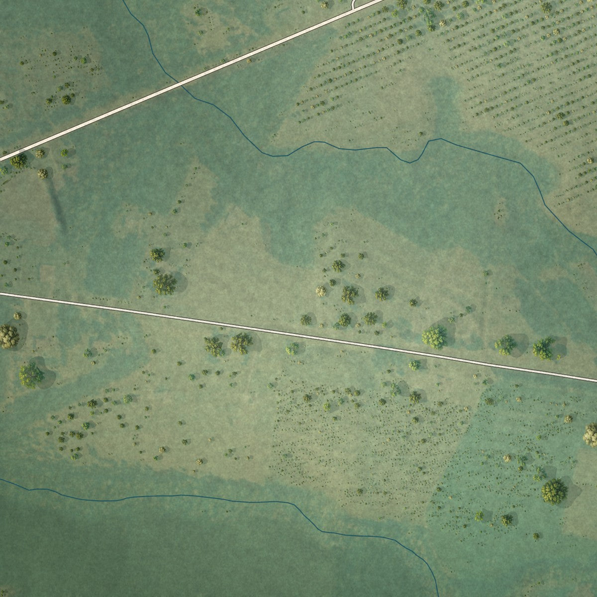 Close-up 2 of the Higgston, Georgia map artwork