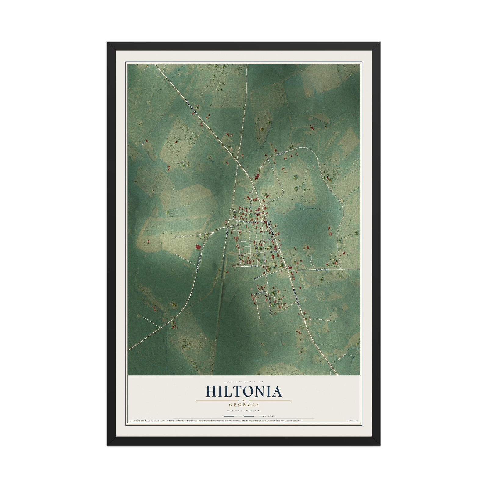 Hiltonia, Georgia map print, 12" x 18" W/ Black Ayous Wood Frame mockup