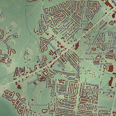 Close-up 1 of the Hinesville, Georgia map artwork