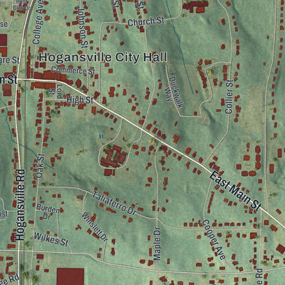 Close-up 1 of the Hogansville, Georgia map artwork