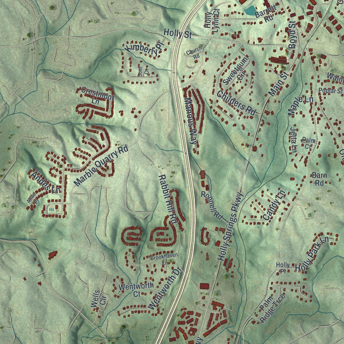 Close-up 1 of the Holly Springs, Georgia map artwork