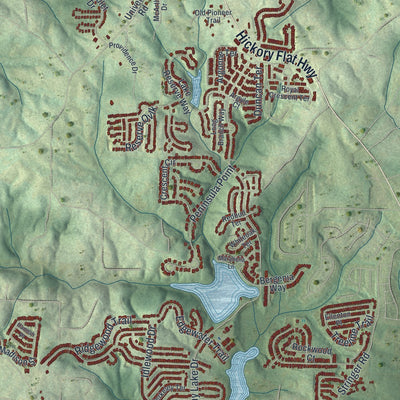 Close-up 2 of the Holly Springs, Georgia map artwork