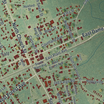 Close-up 1 of the Homerville, Georgia map artwork