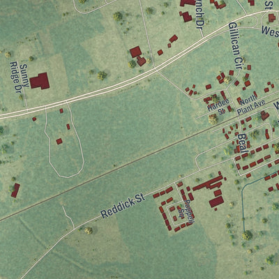 Close-up 2 of the Homerville, Georgia map artwork