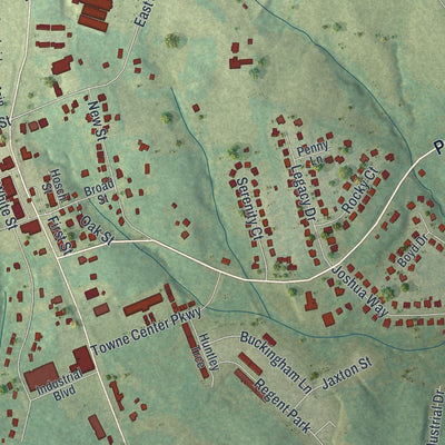 Close-up 2 of the Hoschton, Georgia map artwork