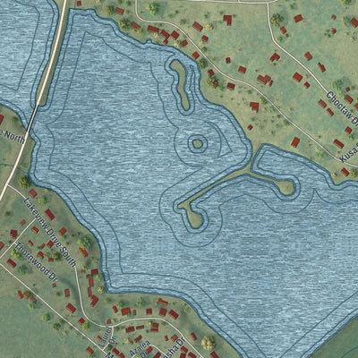Close-up 1 of the Ivey, Georgia map artwork
