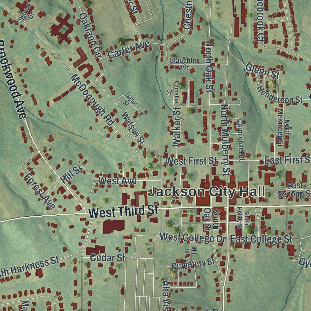 Close-up 1 of the Jackson, Georgia map artwork