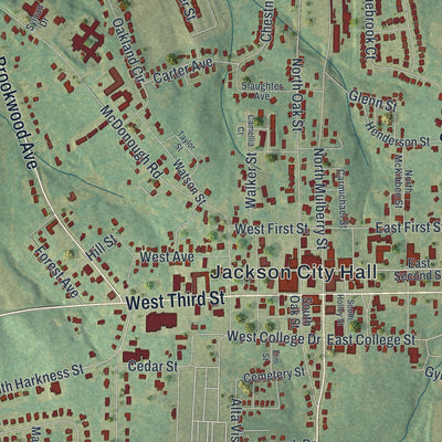 Close-up 1 of the Jackson, Georgia map artwork