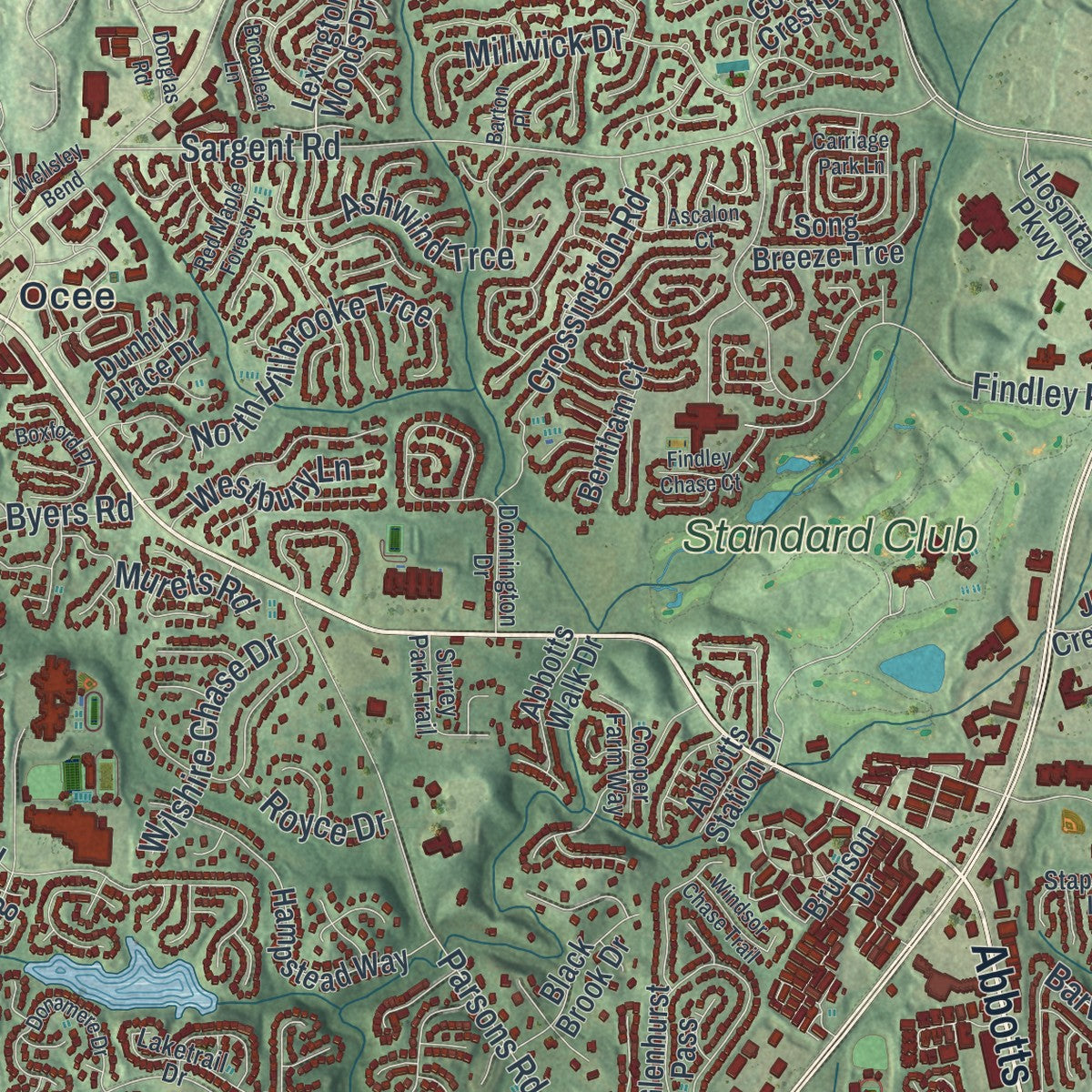 Close-up 1 of the Johns Creek, Georgia map artwork