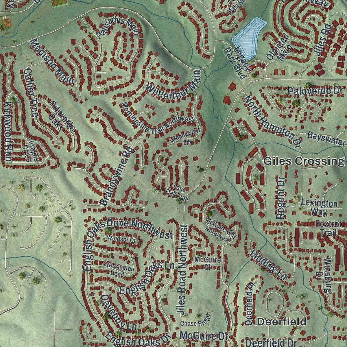 Close-up 2 of the Kennesaw, Georgia map artwork