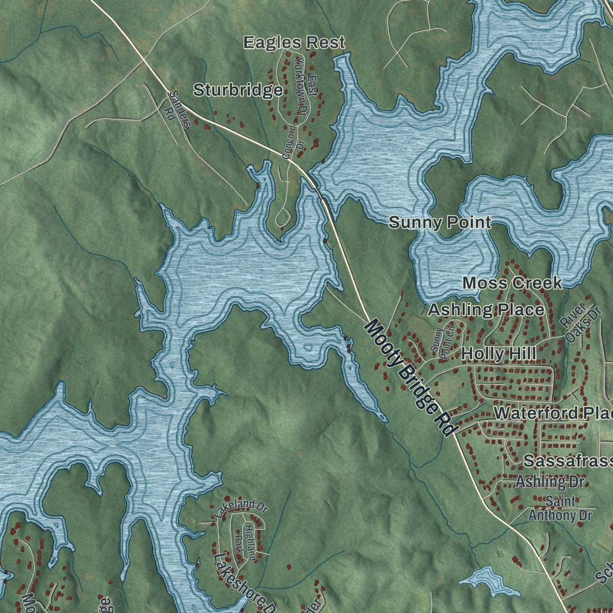 Close-up 2 of the LaGrange, Georgia map artwork