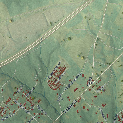 Close-up 2 of the Lavonia, Georgia map artwork