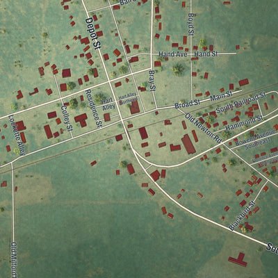 Close-up 1 of the Leary, Georgia map artwork