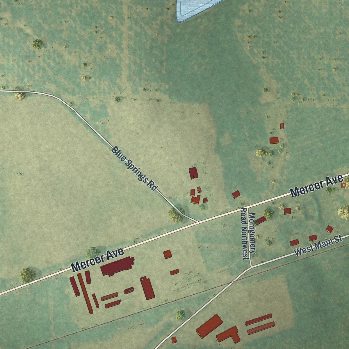 Close-up 2 of the Leary, Georgia map artwork