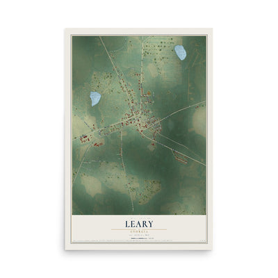 Leary, Georgia map print, 12" x 18" Archival Matte Print mockup