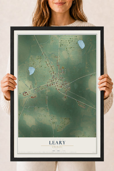 Leary, Georgia map print, 18" x 24" W/ Black Ayous Wood Frame mockup