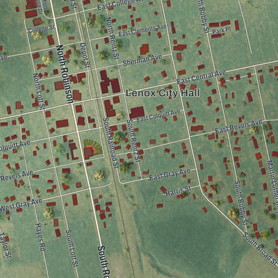Close-up 1 of the Lenox, Georgia map artwork