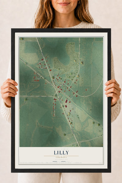 Lilly, Georgia map print, 18" x 24" W/ Black Ayous Wood Frame mockup