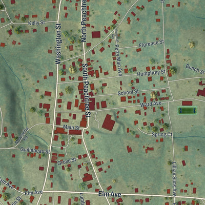 Close-up 1 of the Lincolnton, Georgia map artwork