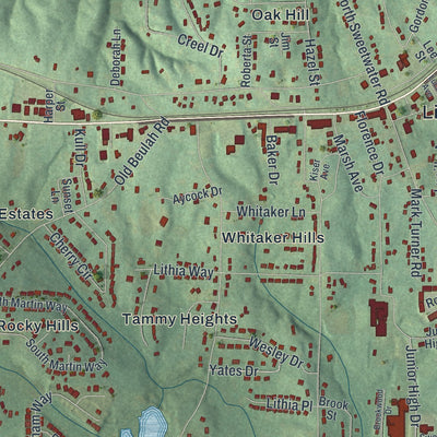 Close-up 1 of the Lithia Springs, Georgia map artwork