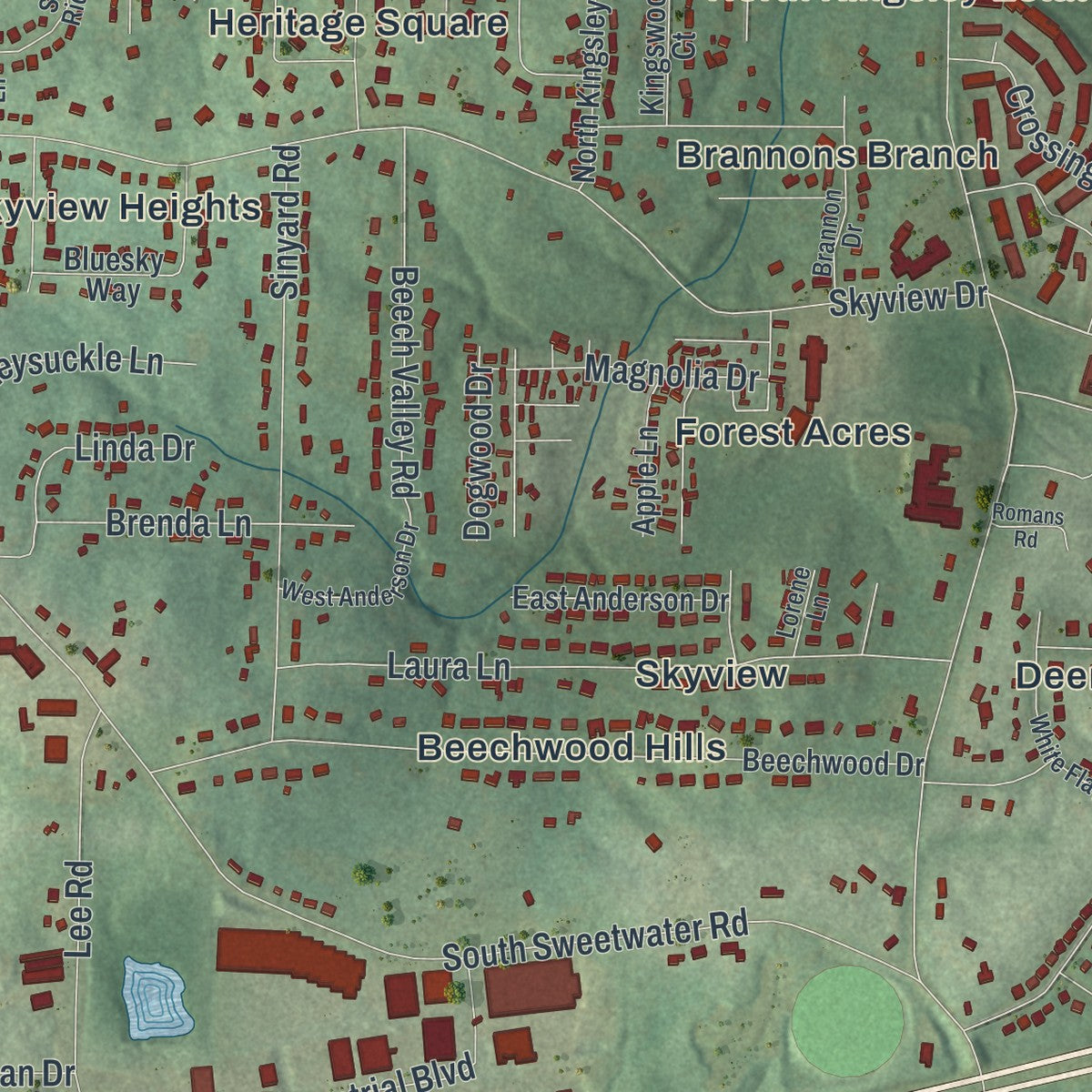 Close-up 2 of the Lithia Springs, Georgia map artwork