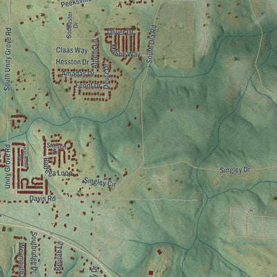 Close-up 2 of the Locust Grove, Georgia map artwork