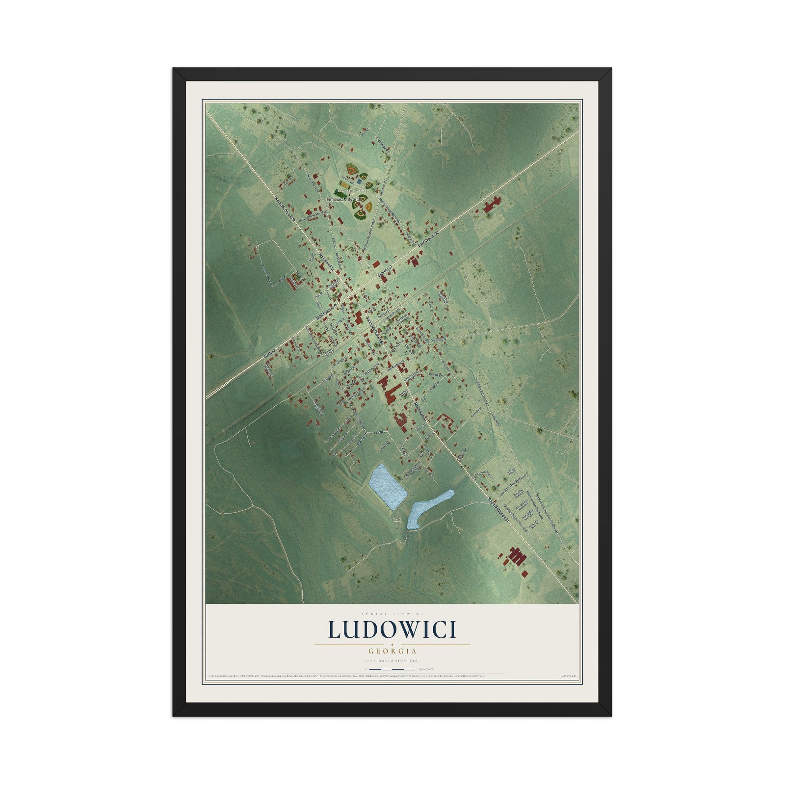 Ludowici, Georgia map print, 12" x 18" W/ Black Ayous Wood Frame mockup