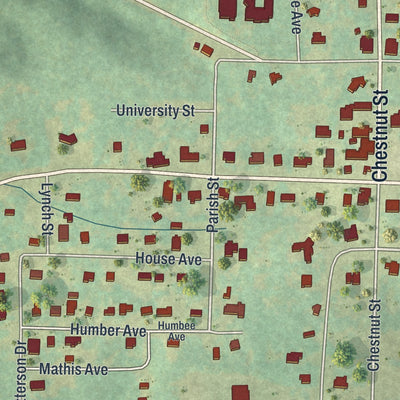 Close-up 1 of the Lumpkin, Georgia map artwork