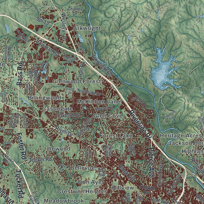 Close-up 1 of the Macon-Bibb County, Georgia map artwork