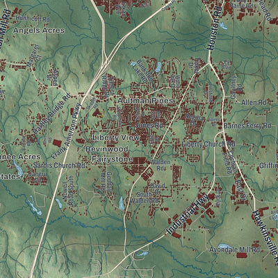 Close-up 2 of the Macon-Bibb County, Georgia map artwork