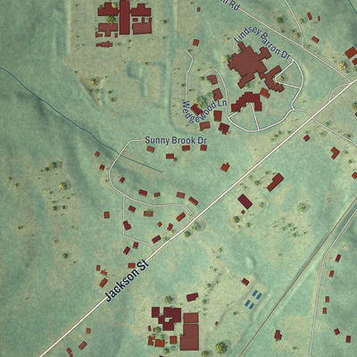 Close-up of the map of Madras, Georgia print showing street and building detail