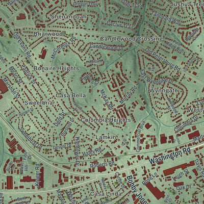 Close-up 1 of the Martinez, Georgia map artwork