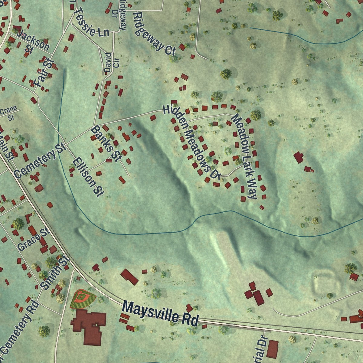 Close-up 1 of the Maysville, Georgia map artwork