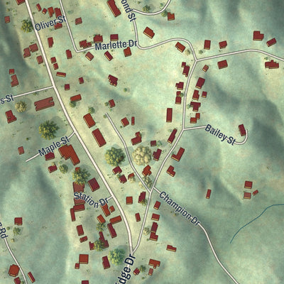 Close-up 2 of the McCaysville, Georgia map artwork