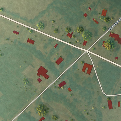 Close-up of the map of Mershon, Georgia print showing street and building detail
