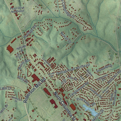 Close-up 2 of the Milledgeville, Georgia map artwork