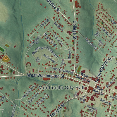 Close-up 1 of the Monticello, Georgia map artwork