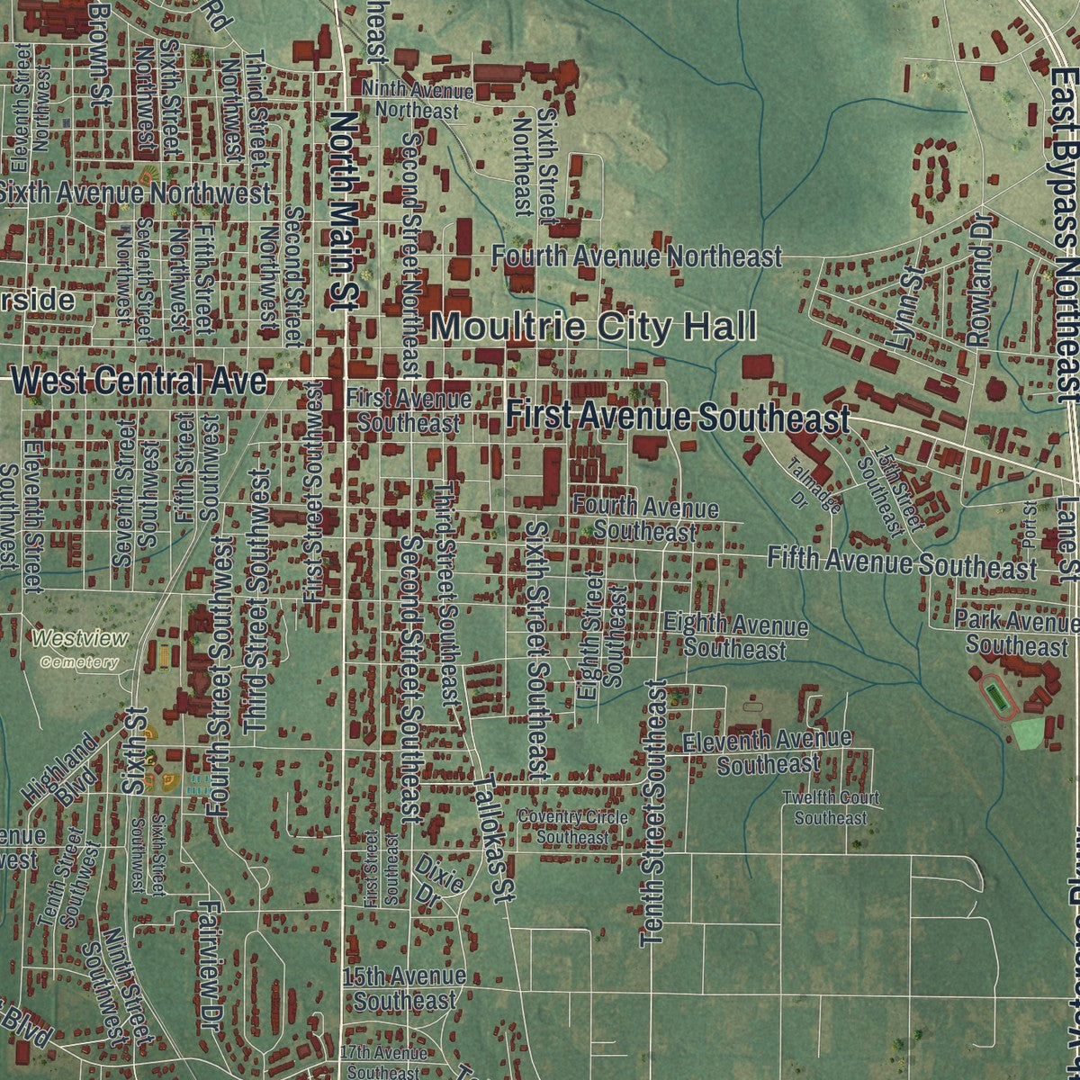 Close-up 1 of the Moultrie, Georgia map artwork