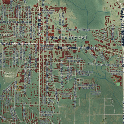 Close-up 1 of the Moultrie, Georgia map artwork