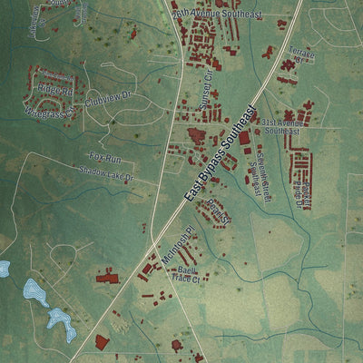 Close-up 2 of the Moultrie, Georgia map artwork