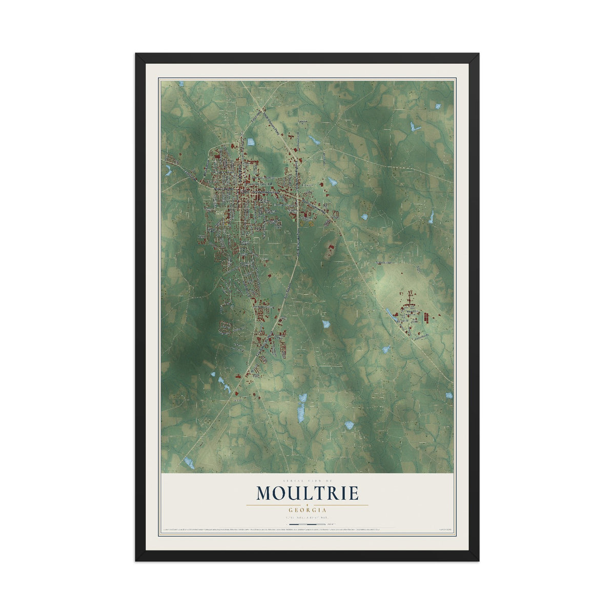 Moultrie, Georgia map print, 12" x 18" W/ Black Ayous Wood Frame mockup