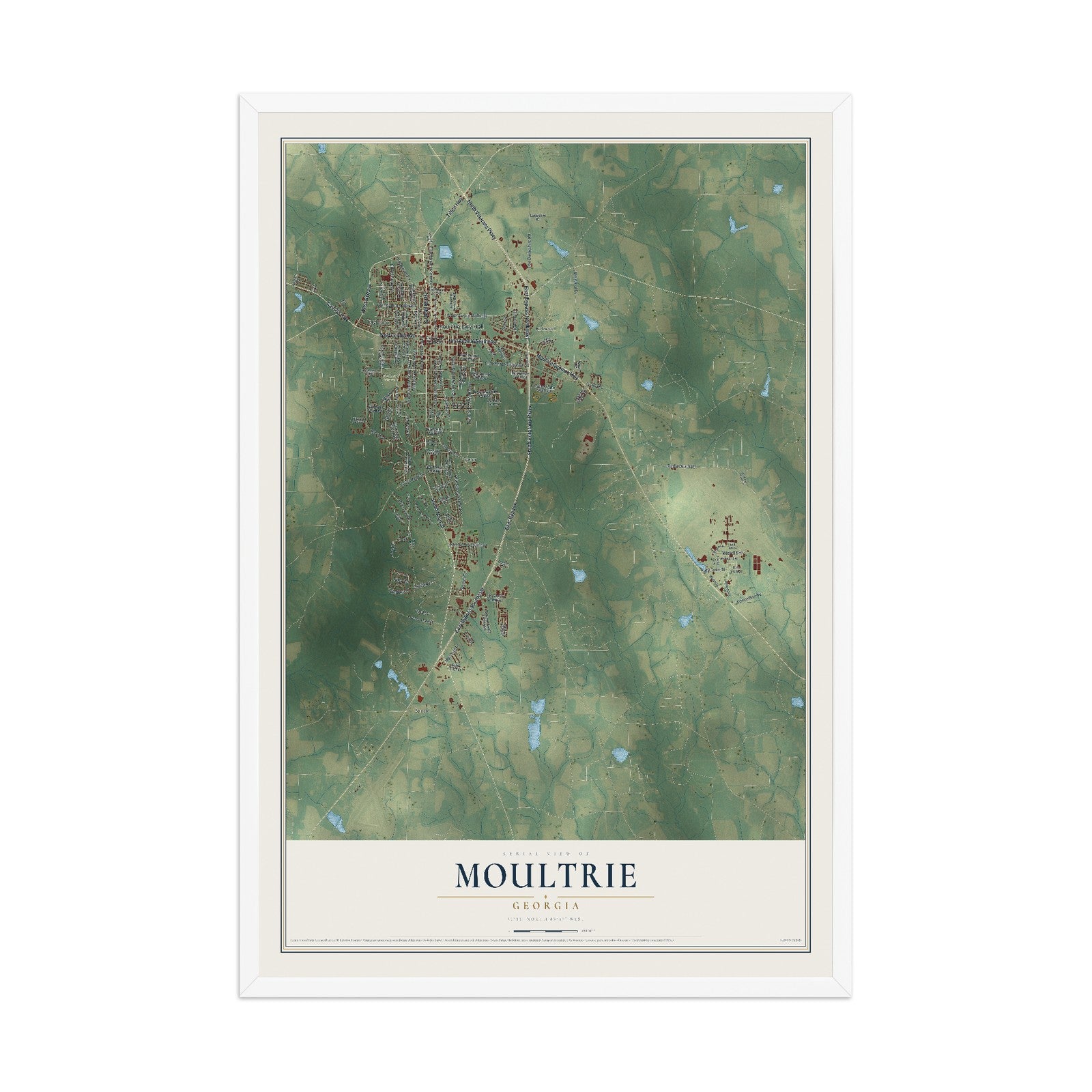 Moultrie, Georgia map print, 12" x 18" W/ White Ayous Wood Frame mockup