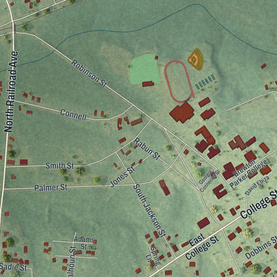 Close-up 2 of the Mount Vernon, Georgia map artwork