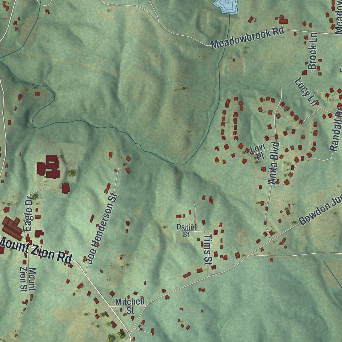 Close-up 1 of the Mount Zion, Georgia map artwork