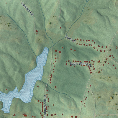 Close-up 2 of the Mount Zion, Georgia map artwork