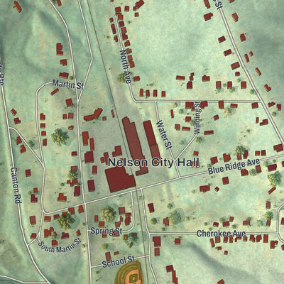 Close-up 1 of the Nelson, Georgia map artwork