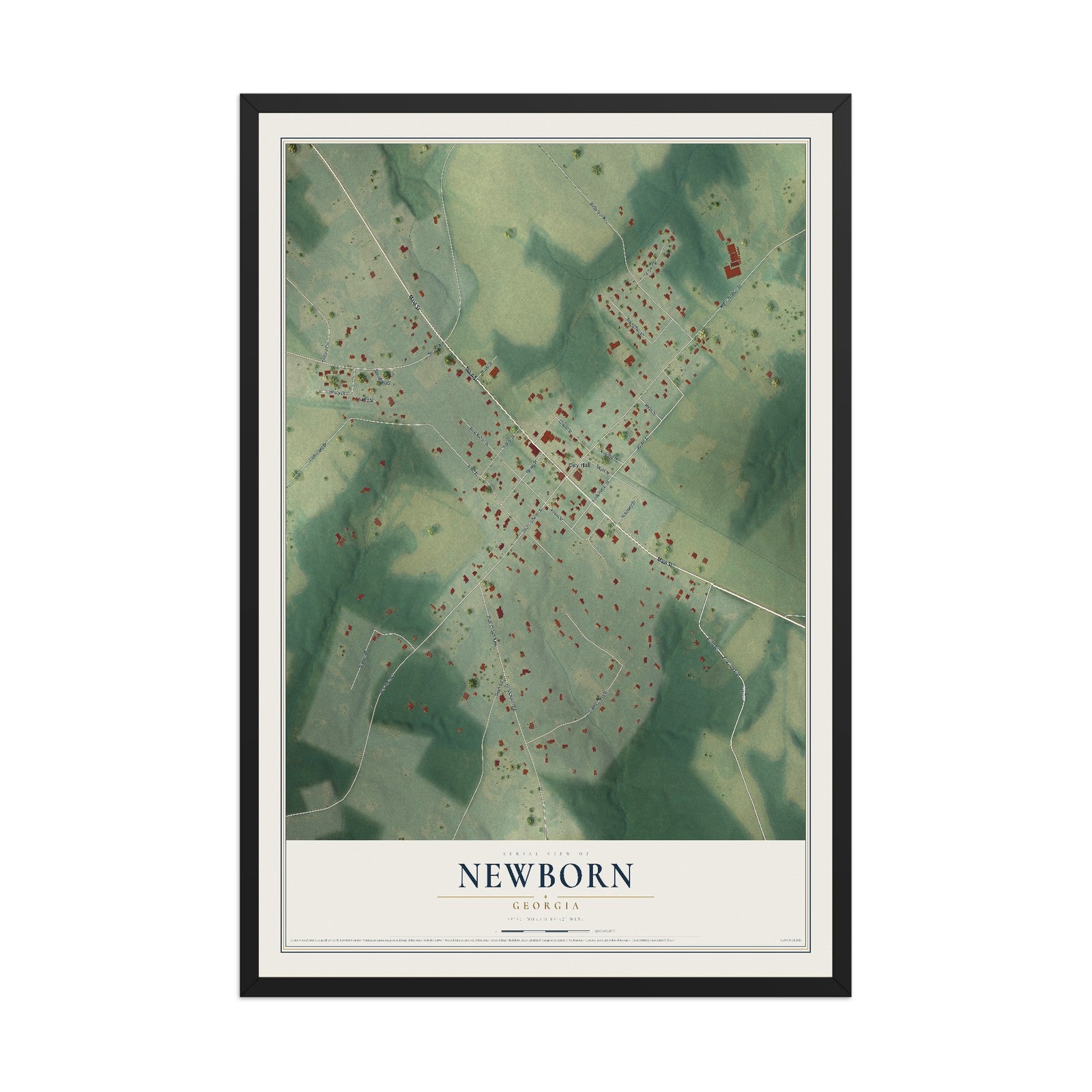 Newborn, Georgia map print, 12" x 18" W/ Black Ayous Wood Frame mockup